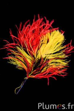 Plumet autruche - hauteur 20-23 cm - noir-rouge-jaune